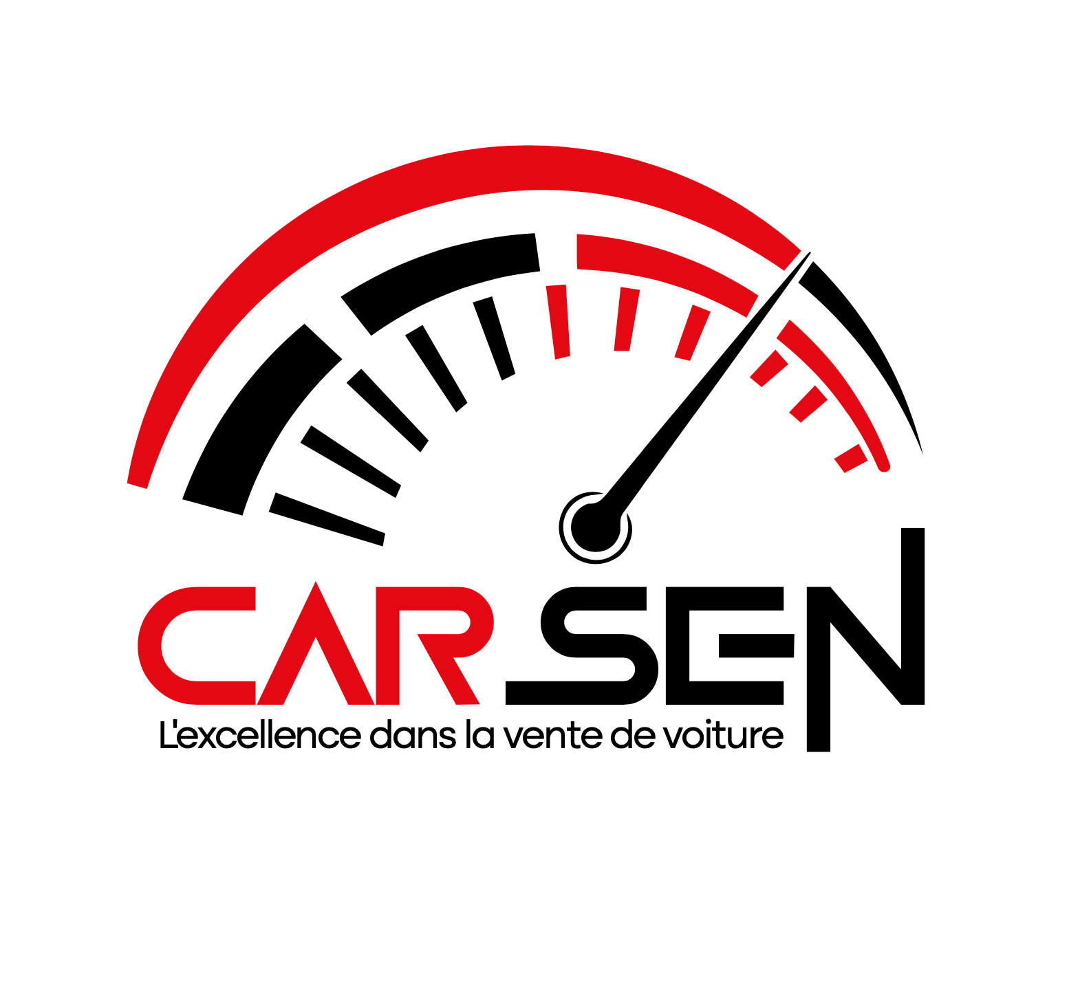 CARSEN Logo